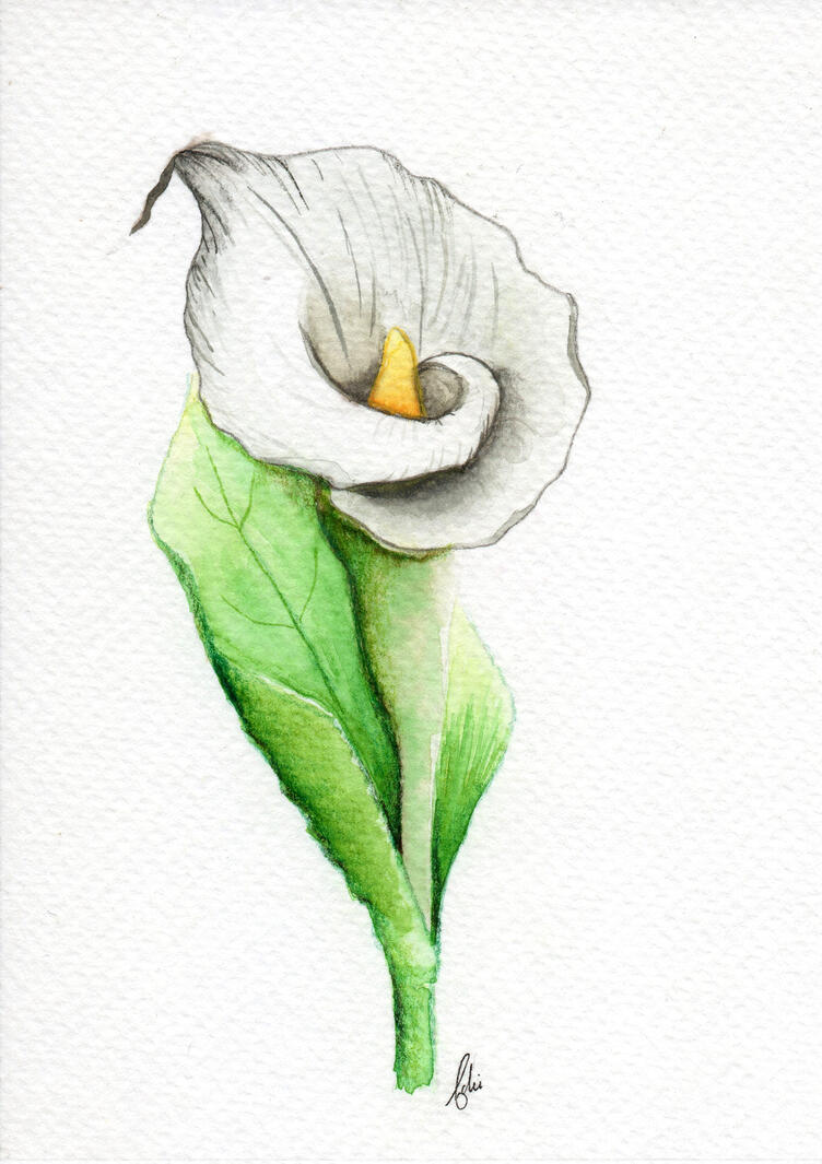 Callas