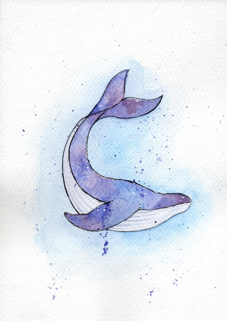 Whale