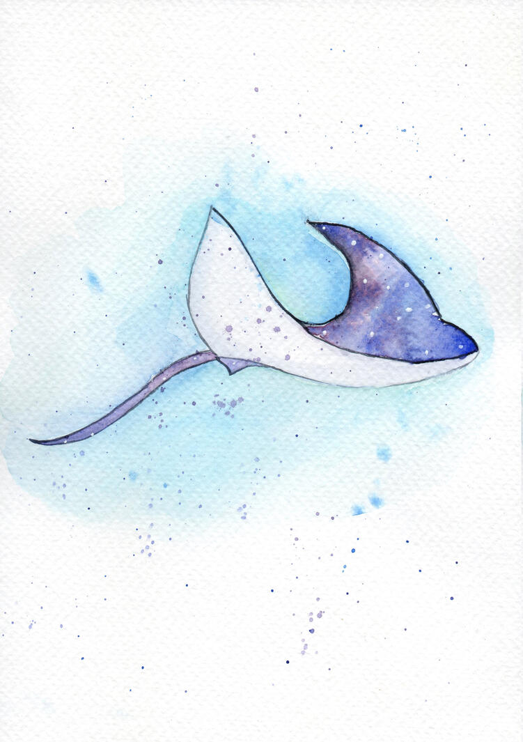 Stingray