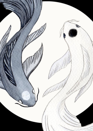 Koi